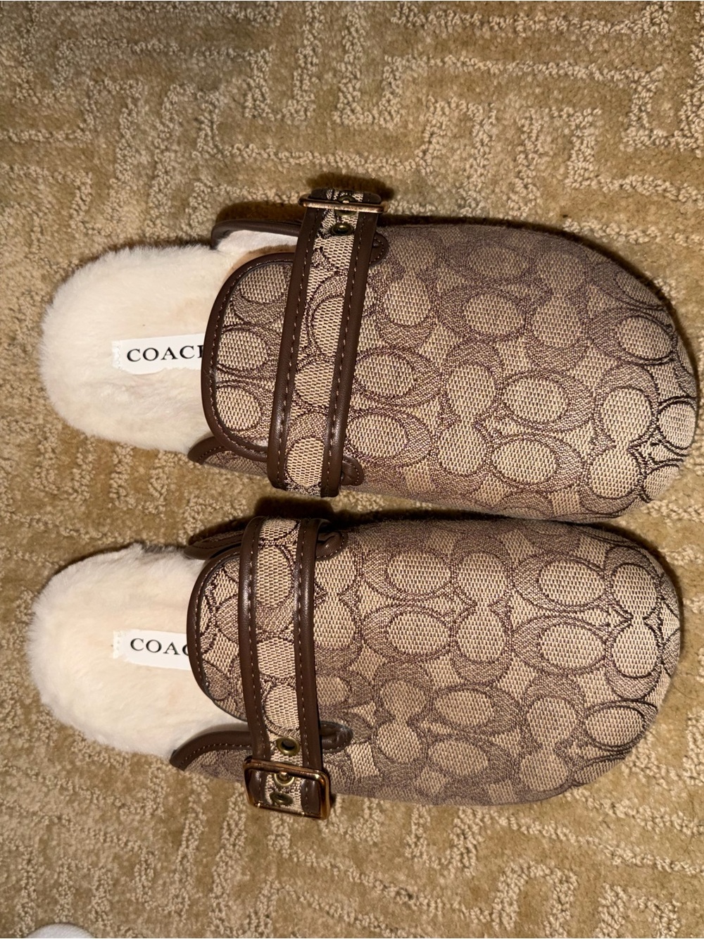COACH Signature Jacquard Buckle Clog Mules Shearling Insole Size 8
